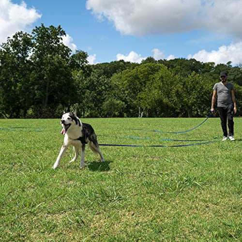 Hi Kiss - Correa De Entrenamiento Para Perros Y 5