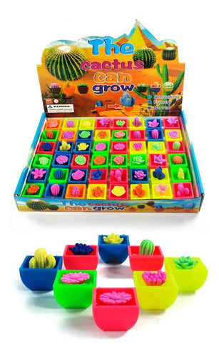 AQUA CACTIS Cactus Grows in Water Souvenir Various Models Colors Eggs 0