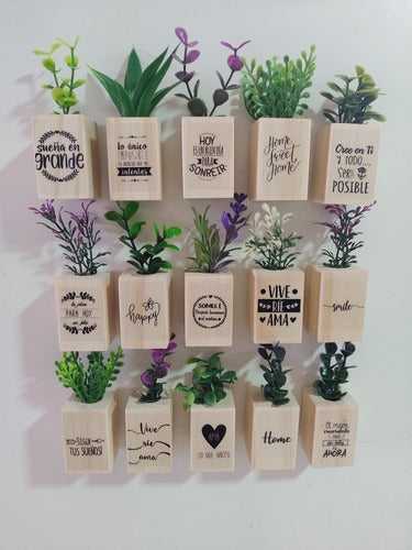 HandMade Mini Plant Pots with Magnet and Artificial Plant Set 6