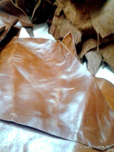 Genuine Cowhide Leather Scraps Luca Tiziano Cueros 2