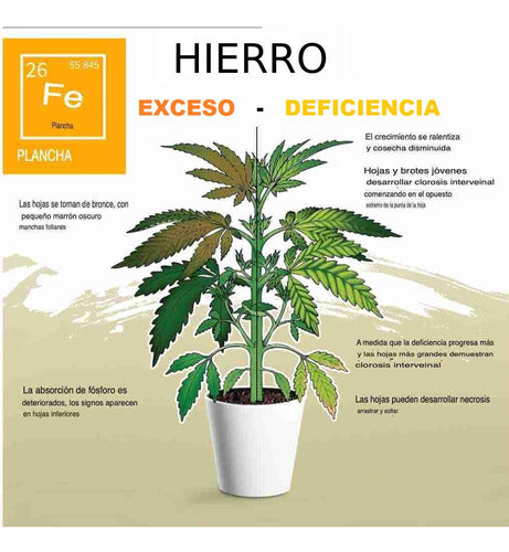 Agro Sulfato De Hierro Cura Previene Hojas Amarillas 1 Kg 6