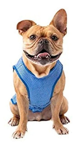 GF Pet Elastofit Ice Cooling Vest for Dogs 0