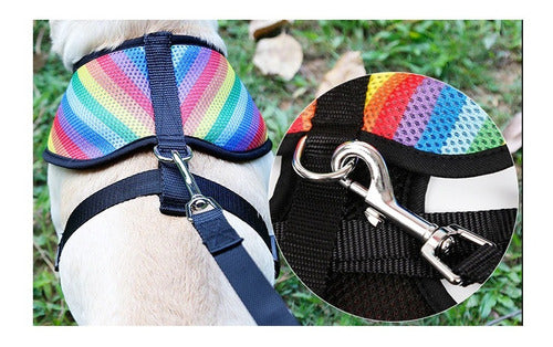 Doglemi Multicolor Harness and Leash for Storing Accessories 2