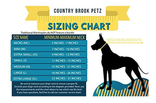 Country Brook Petz - Durable Nylon Dog Collar - Martingale Style 5