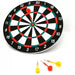 Generic 17" Dartboard Game Set with 6 Darts 3