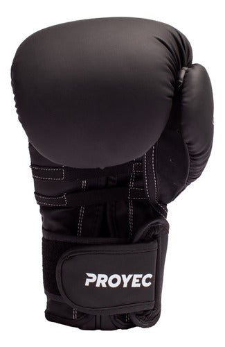 Proyec Kick Boxing Box Muay Thai Imported Boxing Gloves 12