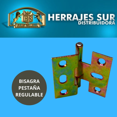 HS Bisagra Pestaña Tipo Nº5 Regular Zinc Puerta Mueble 38x40mm 3