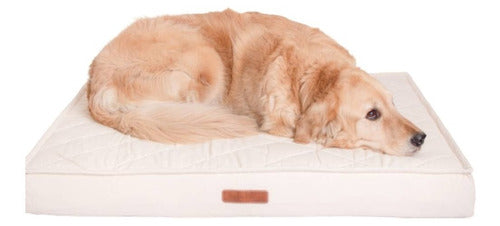 Upper Dog Orthopedic Pillow Pet Bed XL 0