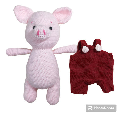 Artesanias con Sofy Chanchito Amigurumi Hipoalergénico Con Enterito Desmontable 1