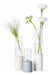 ZENS Small Bud Vases Set of 3, Minimalist Glass Vase 0