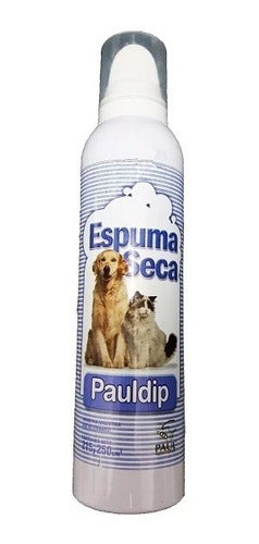 PaulDip Dry Foam 250 mL Hot Sale in Mundo Acuatico 5