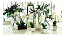 Artificial Orchid Flowers 35cm Home Garden Decor Plant Zn 3
