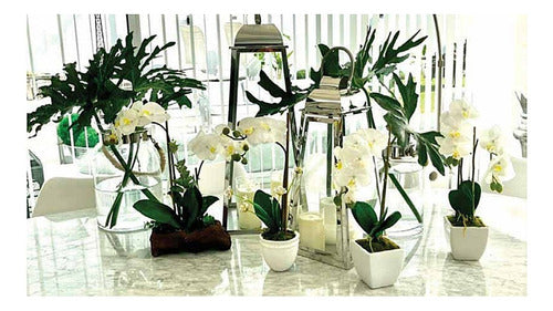 Artificial Orchid Flowers 35cm Home Garden Decor Plant Zn 3