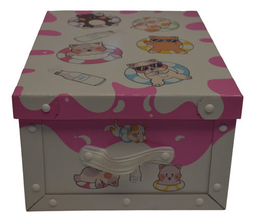 Microbox Large Cat Storage Box 48x36x22cm 1