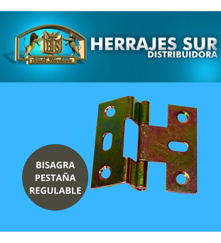 HS 10 U. Bisagra Pestaña Tipo Nº5 Regular Zinc Puerta 38x40 1