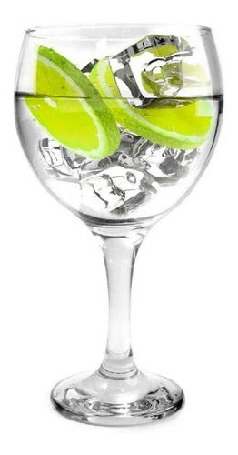 Heraclito & Macedonio Gin Tonic Set: 6 Copa + 1 Botanic Dry Gin + 6 Tonic Waters 2