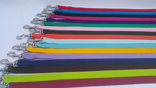 Pet Shop Combo Collar and Leash 10 Sets 3 cm Wide 0