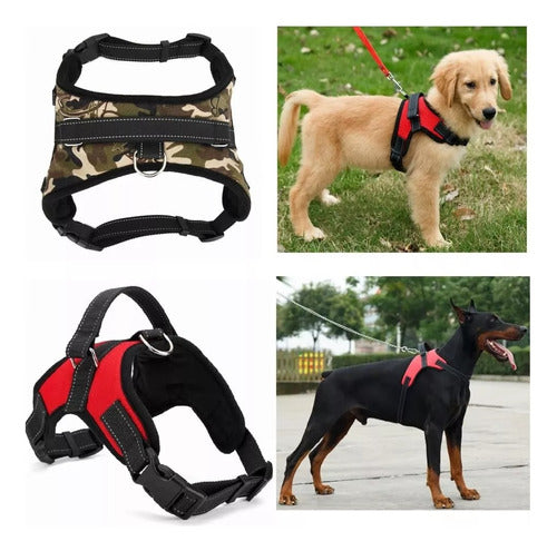 World Tech Red Dog Harness 31x22cm 1