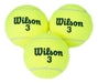 Wilson Federer 21 Initial Racquet + Tubo 3 Wilson Balls 5