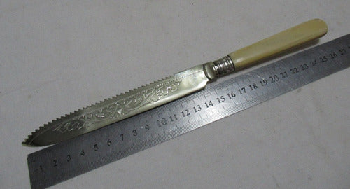 Cuchillo Largo Dentado Acero Inglés Mi Ep Ai 26 Cm Largo 1