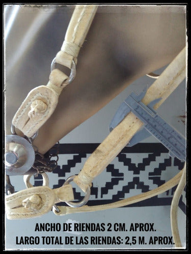 PG Double Headstall and Reins with Ring (Folded) in Leather 3