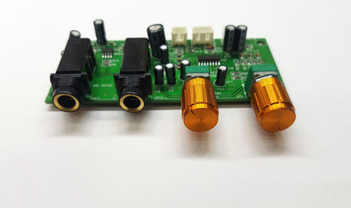 Modulo Preamplificador Y Echo Reverberacion Microfono Pt2399 1