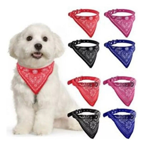 Huellitasd Lacosta Collar Bandana, Perro, Gato. 45 Cm 0