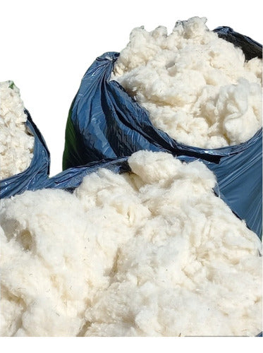 Washed Sheep Wool Filling for Mattresses / Futons / Pillows 10 Kg 1