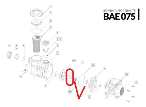 Impulsor Para Bomba Vulcano 3/4 + Sello Mecanico 1