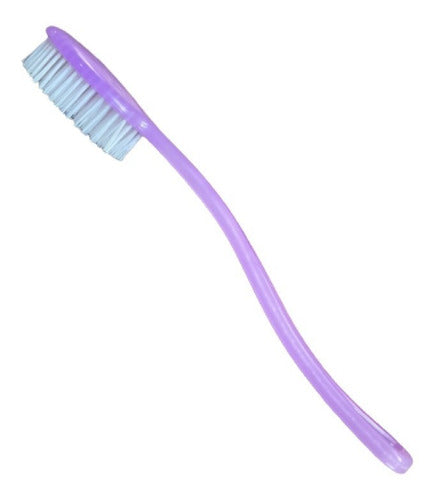 Back Brush for Shower with Plastic Handle. Pack of 12 Units 0