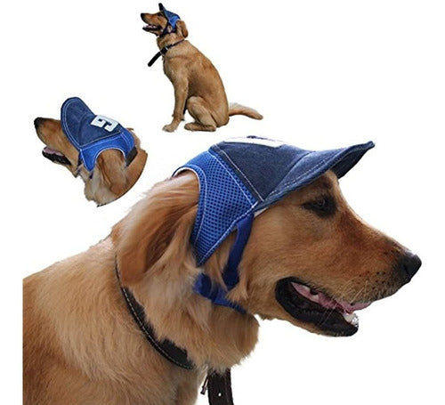 Sombrero Para Perros Kloud Ciudad Colores Diferentes Y Tamar 0