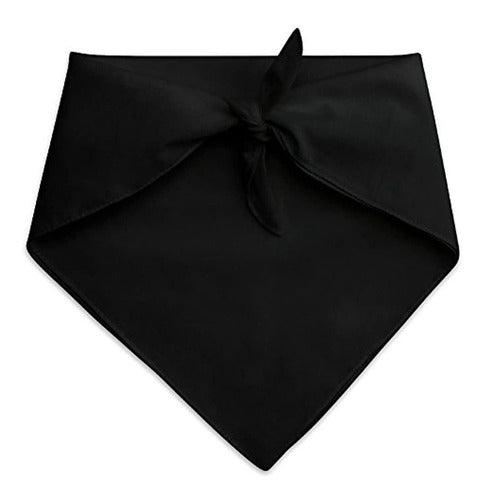 Mas Tarde Haters Graduacion Cap Dog Pet Bandana Black 3