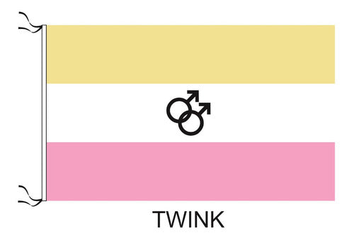 Rapi Arte Bandera Twink Lgbt 90 X 150cm 0