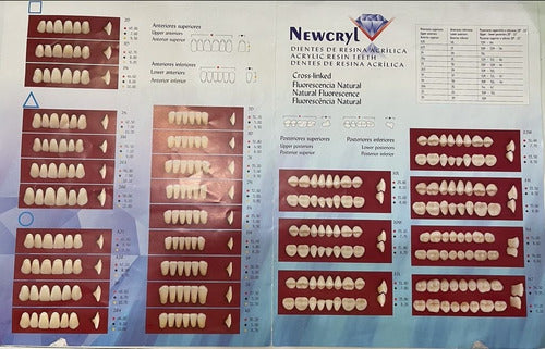 NewCryl Acrylic Teeth - 10 Tablets 1