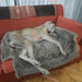 Reversible Monkey Hair Sofa Cover for Dogs and Cats 2
