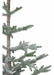 Northlight Artificial Snowy Pine Christmas Tree with Burlap Base 2