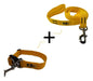 Adjustable K9 Dog Trainers Collar + 5M Leash Set for Dogs 78