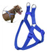Adjustable Blue Harness for Large Pets 0