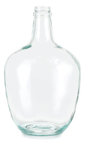 Mdluu Glass Jug Vase 10" Tall, Vase 0