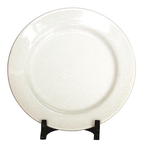 Biona Set of 6 Round Dessert Plates Ceramic 3