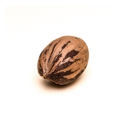 2024 Unpeeled Pecan Nuts Organic from the Delta - 1kg 0