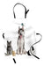 Lunarable Animal Apron, Pet Group Like Cat Dog Rabbit and Bird 0