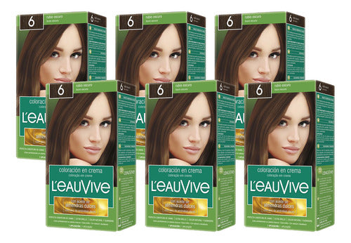 L'eau Vive Dark Blonde Permanent Hair Color Kit 6 0