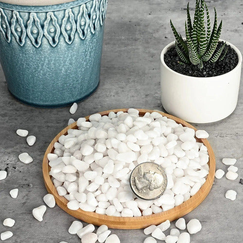 Only-Woman Decorative White Stones for Succulents and Cacti - 1 Kg 7