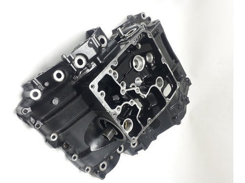 MK MOTOS Lower Engine Block Kawasaki Er6n 2008/2010 #02 1