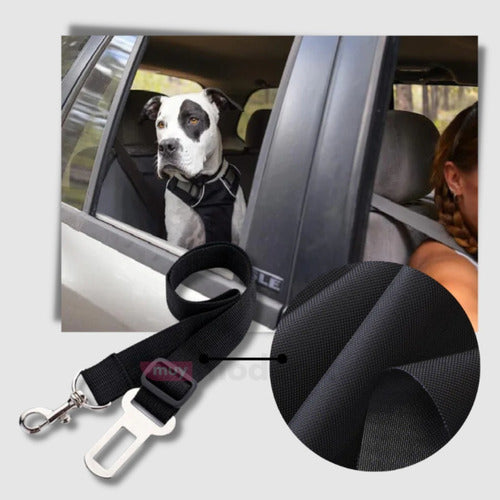 Muymo® Adjustable Dog Seat Belt 5