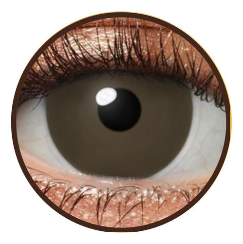 Generic Prosthetic Contact Lenses Annual Brown Tone with Iris 0