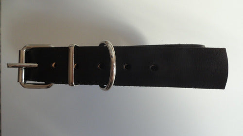 Premium Leather Dog Collar for Medium Breeds 3 cm Wide 0