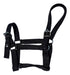 Generic Newborn Muzzle with Halter 5