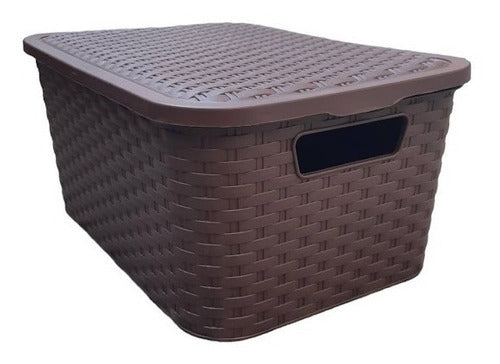 2 Plastic Rattan-Like Medium-Size Storage Baskets with Lid 7